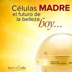Células madres de manzana